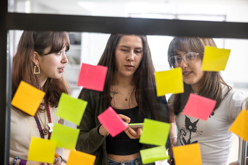BA (Hons) Management (Live Events) Course Overview